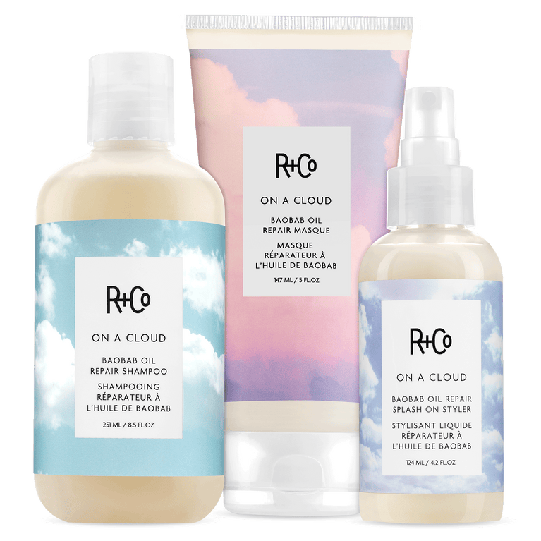 R+Co REPAIR + HYDRATE Hair Goals Kit